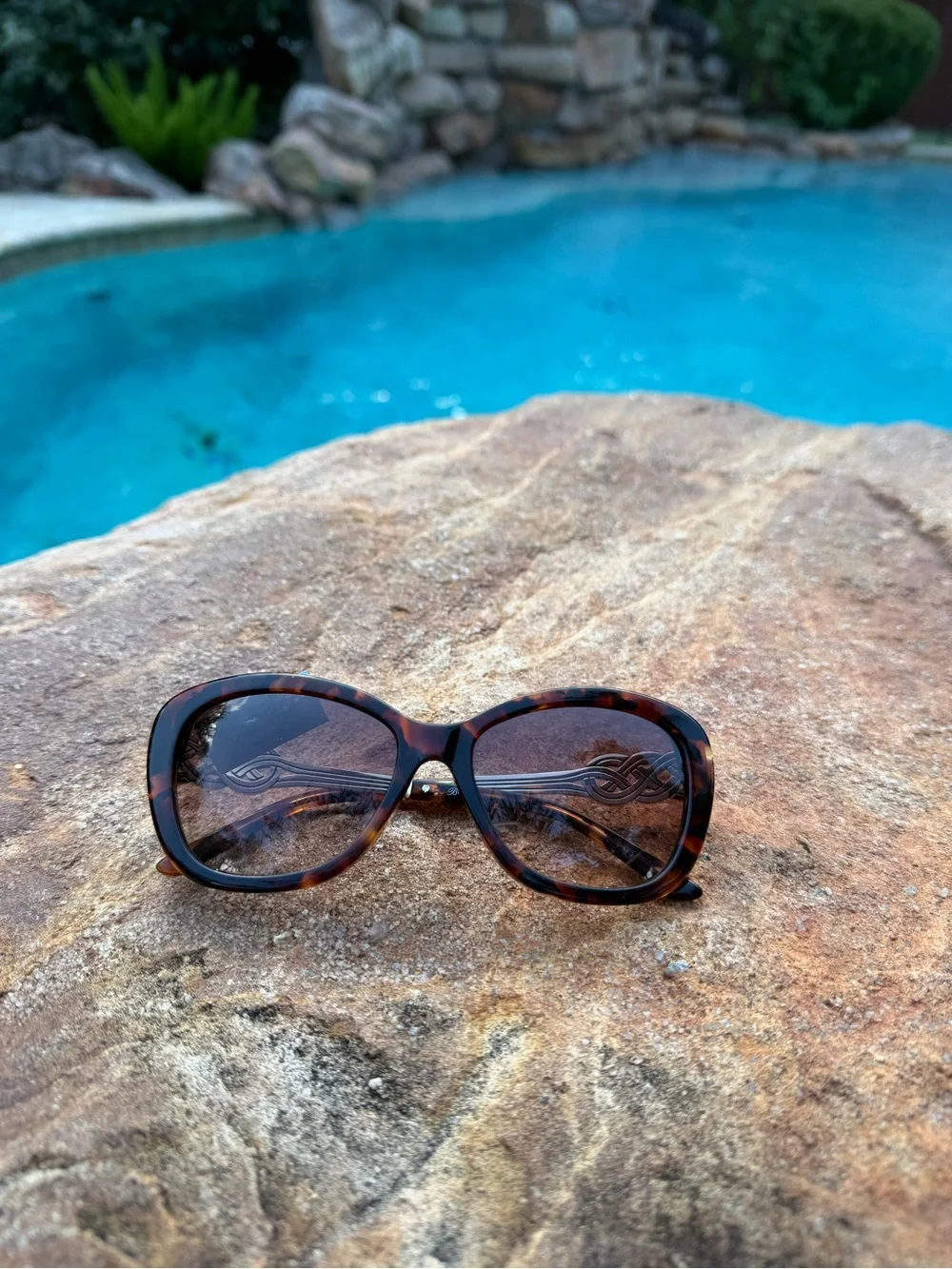 Brighton Interlock Cascade Tortoise Frame Sunglasses Brown Gradient Lenses NWT